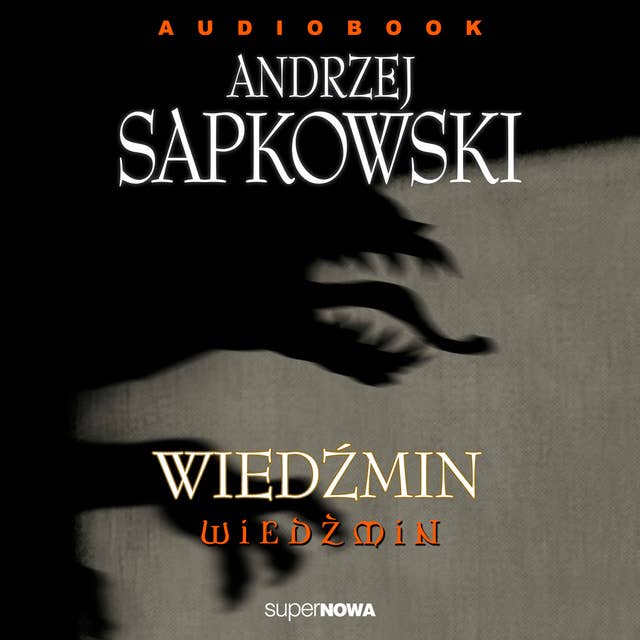 Wiedźmin by Andrzej Sapkowski