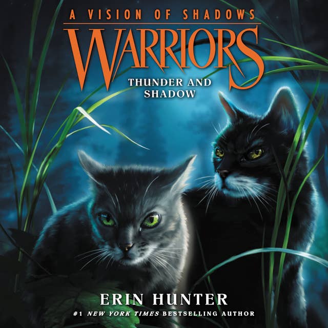 Warriors: A Vision of Shadows #2: Thunder and Shadow 