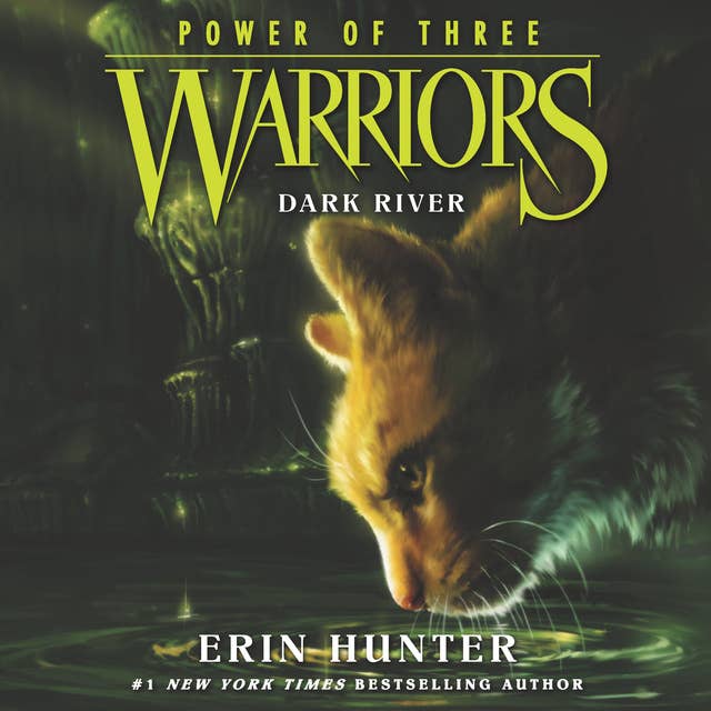 Warriors: Power of Three #2 – Dark River 