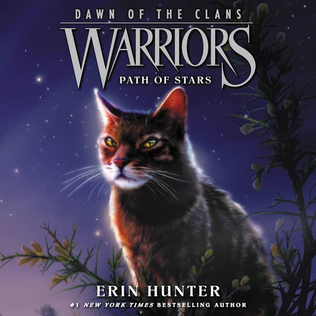 Warriors: Dawn of the Clans #6 – Path of Stars 