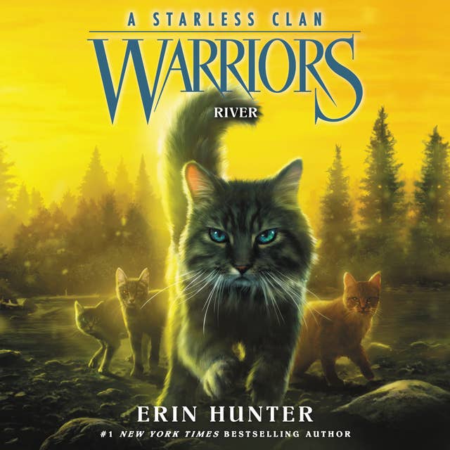 Warriors: A Starless Clan #1: River 