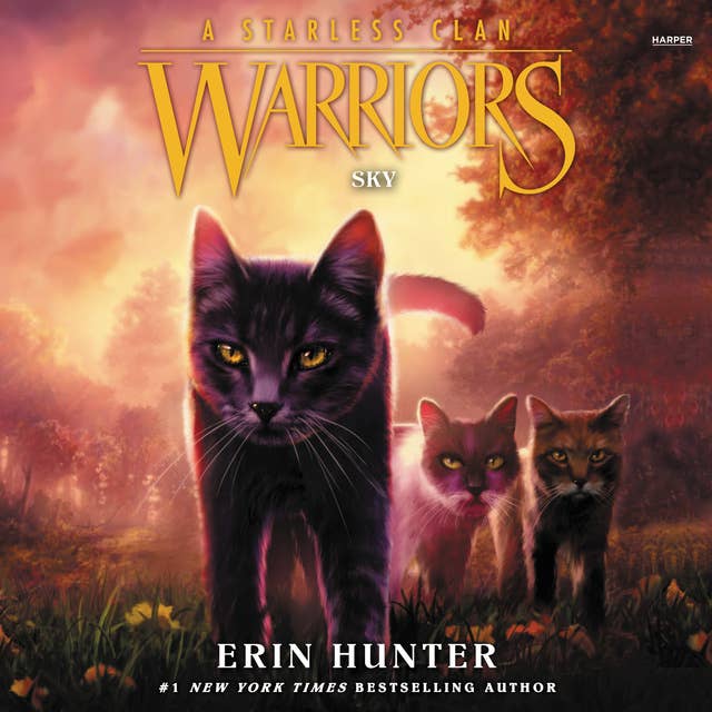 Warriors: A Starless Clan #2: Sky 