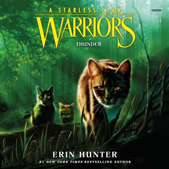 Warriors: A Starless Clan #4: Thunder 