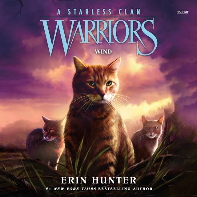 Warriors: A Starless Clan #5: Wind 