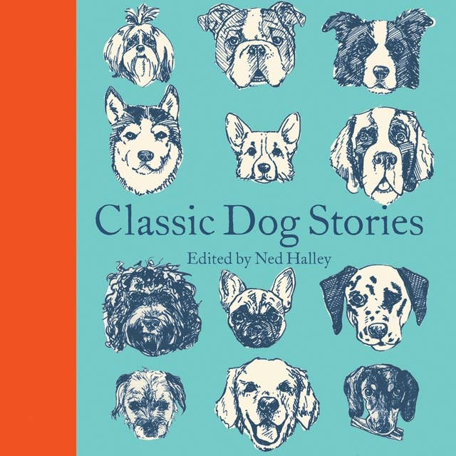 Classic Dog Stories