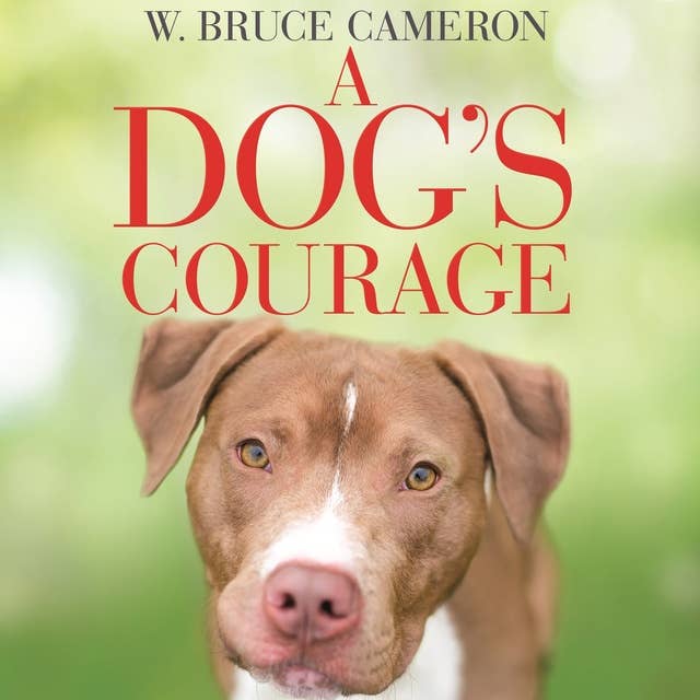 A Dog's Courage