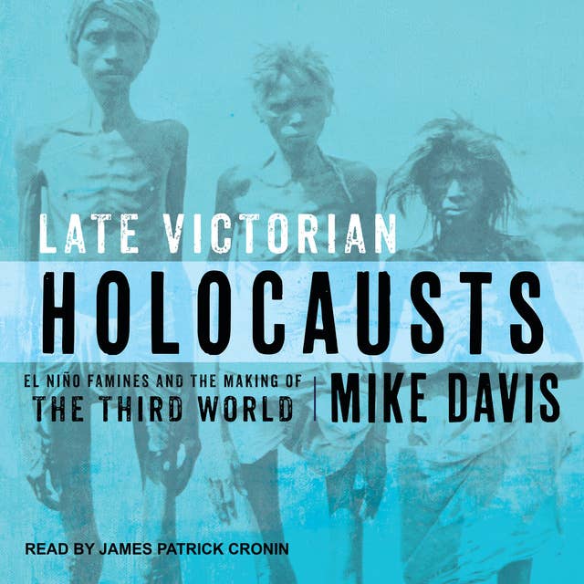 Late Victorian Holocausts: El Niño Famines and the Making of the Third World