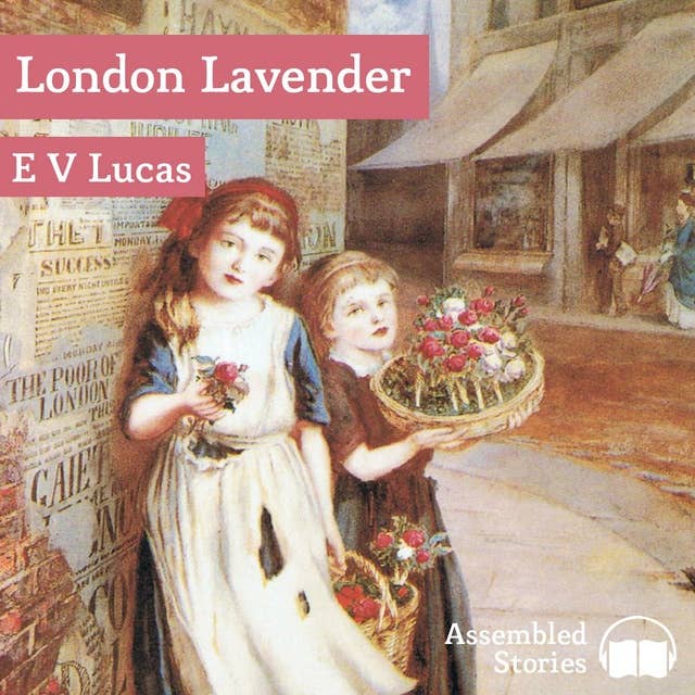 London Lavender 