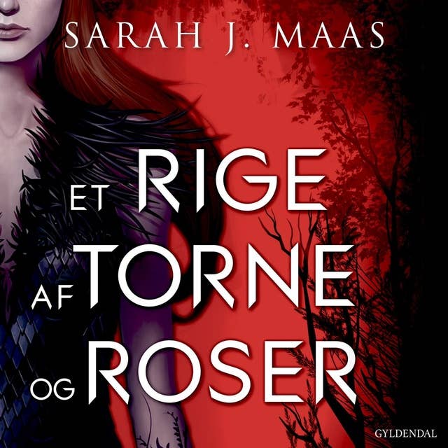 Et rige af torne og roser by Sarah J. Maas