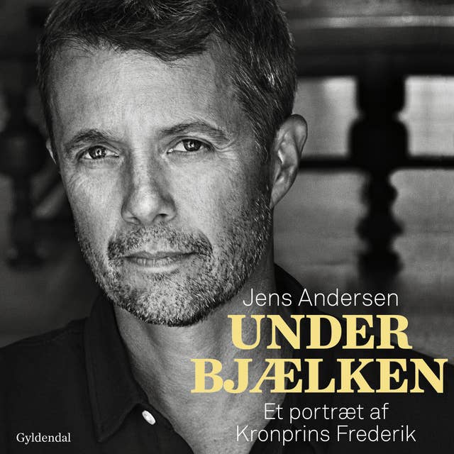 Under bjælken: Et portræt af Kronprins Frederik 