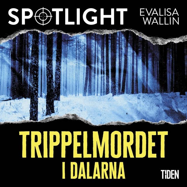 Trippelmordet i Dalarna