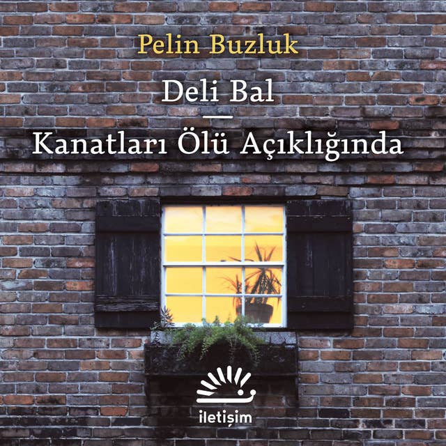 Deli Bal & Kanatları Ölü Açıklığında