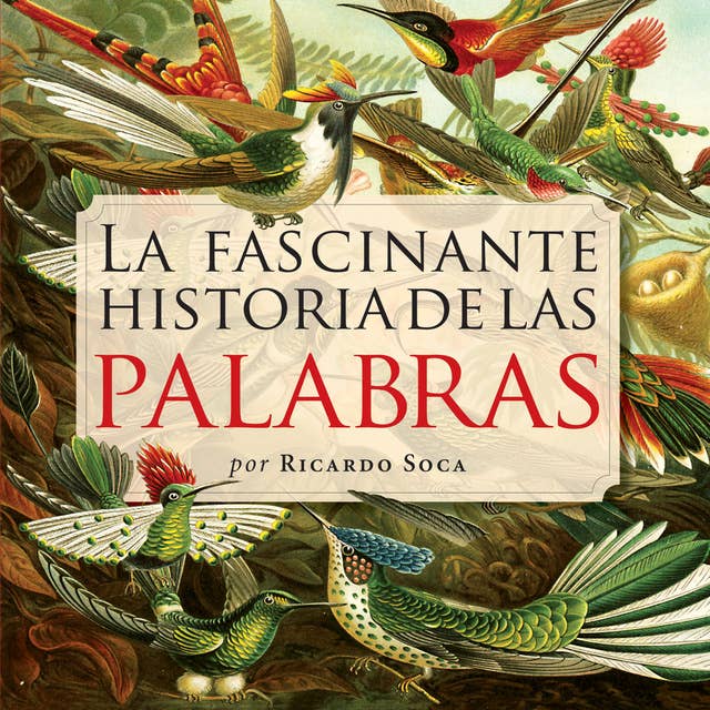 La fascinante historia de las palabras 