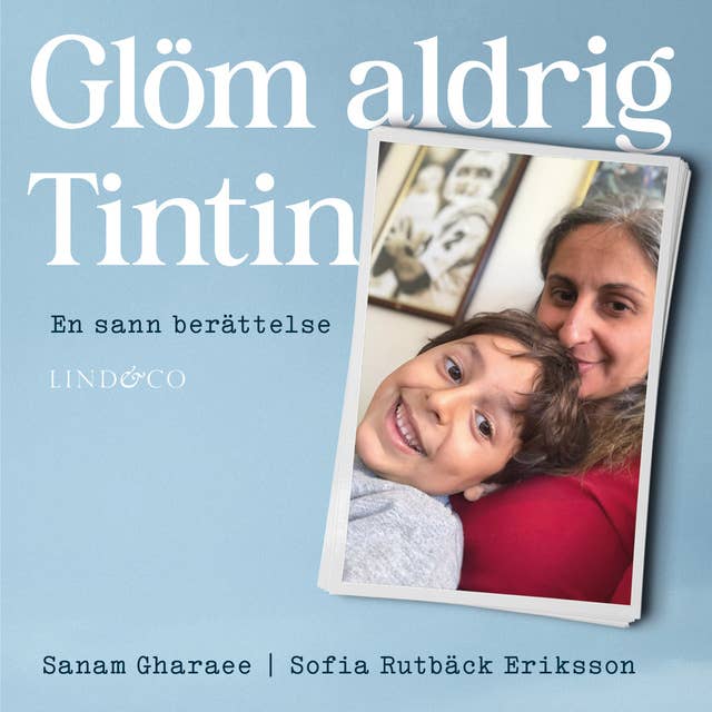 Glöm aldrig Tintin: En sann berättelse 