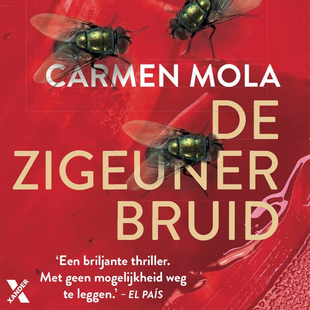 De zigeunerbruid 