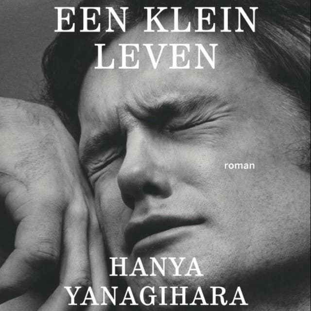 Een klein leven 