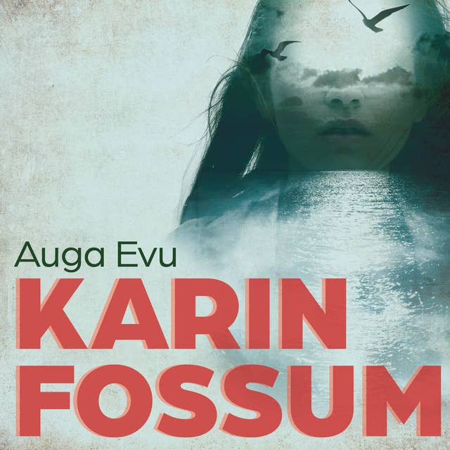 Auga Evu by Karin Fossum