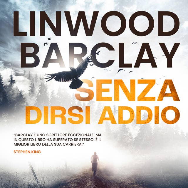 Senza dirsi addio by Linwood Barclay