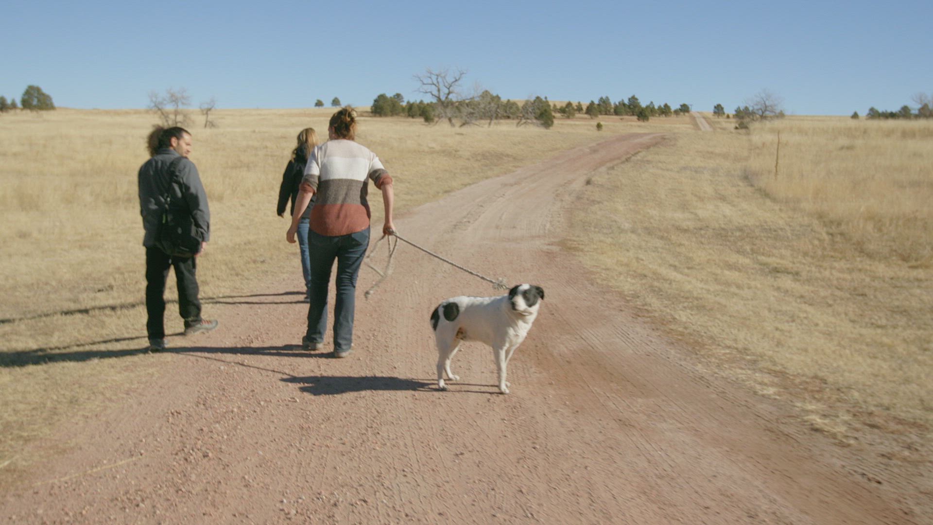 Beyond Skinwalker Ranch