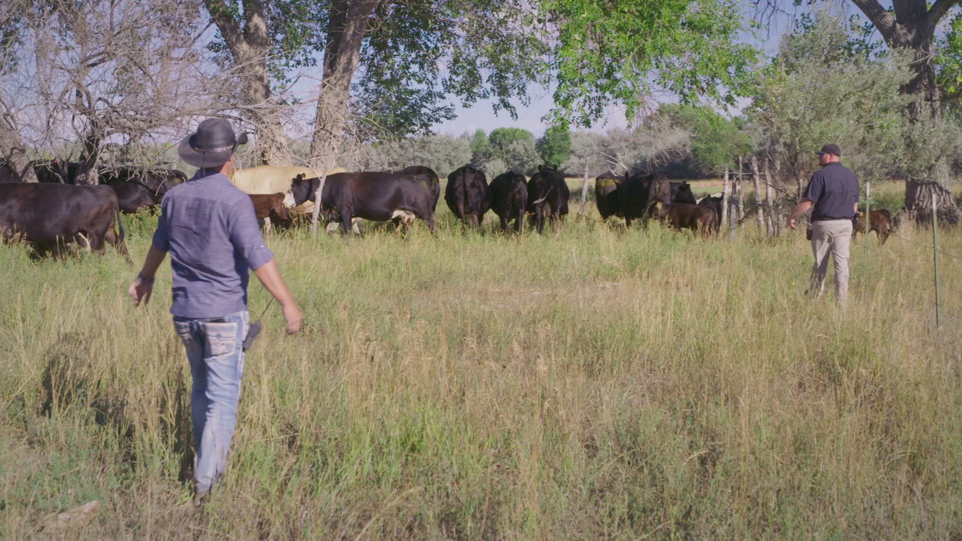 The Secret of Skinwalker Ranch