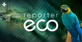 Repórter Eco