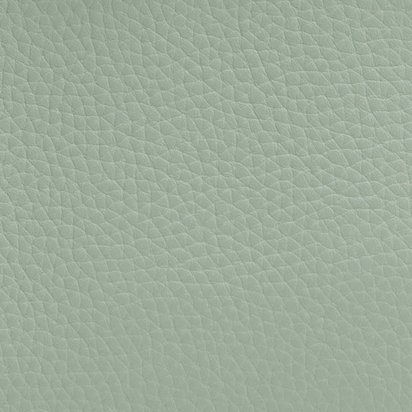 Close-up texture of a leather-like surface