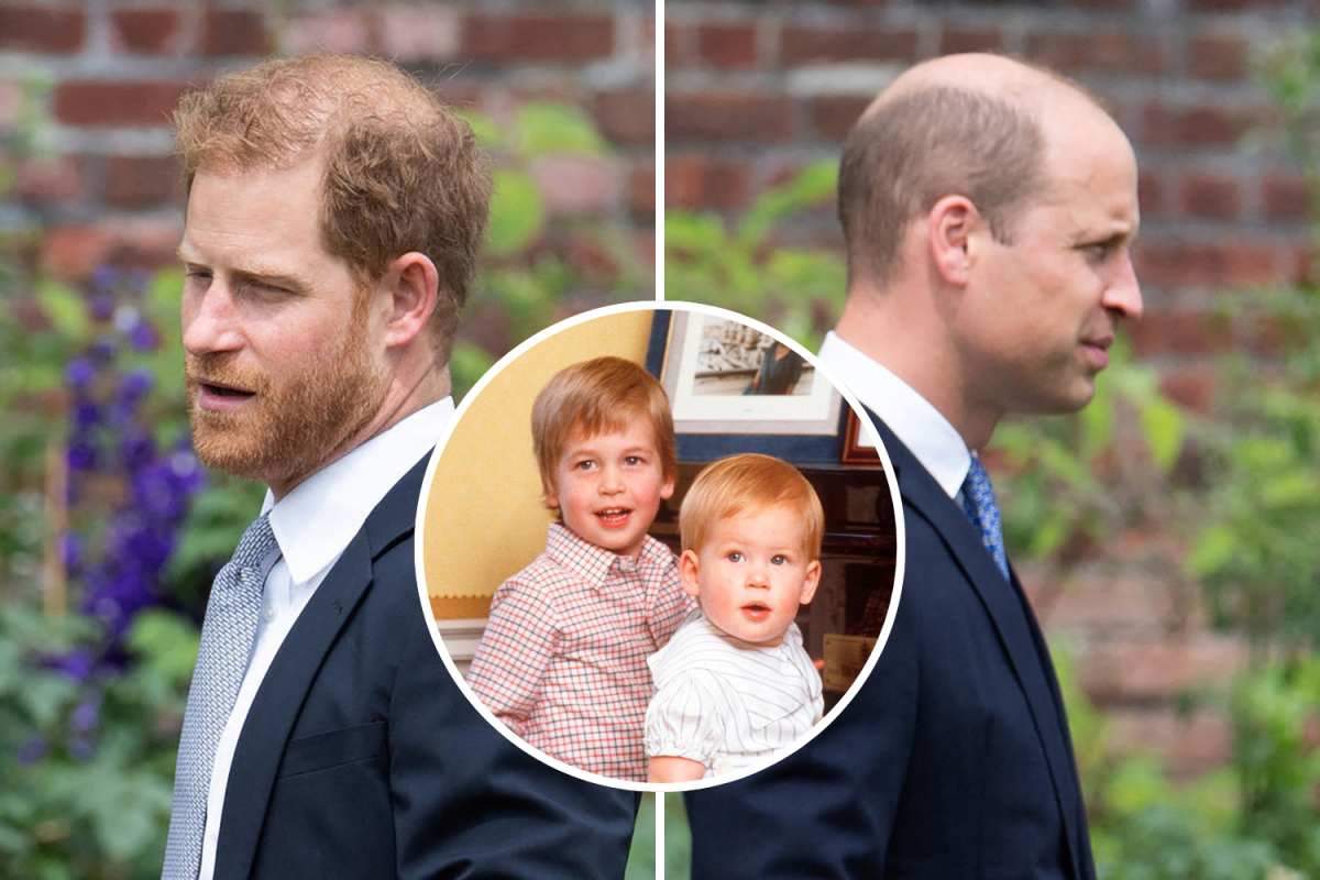 Prince Harry and Prince William