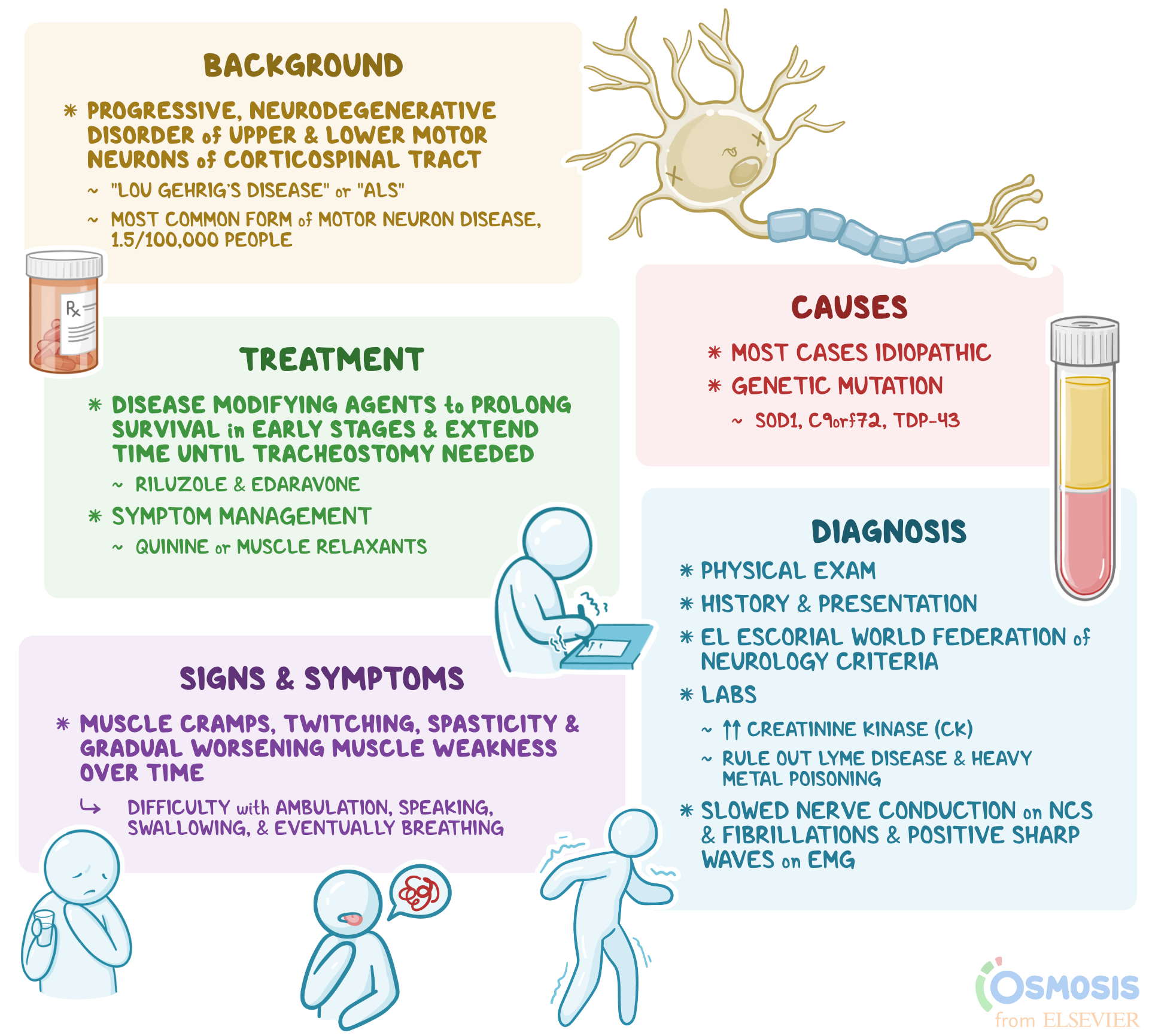 Amyotrophic Lateral Sclerosis (ALS): What Is It, Causes,, 50% OFF