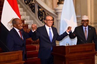 Egypt, Eritrea, Somalia meet to discuss regional security