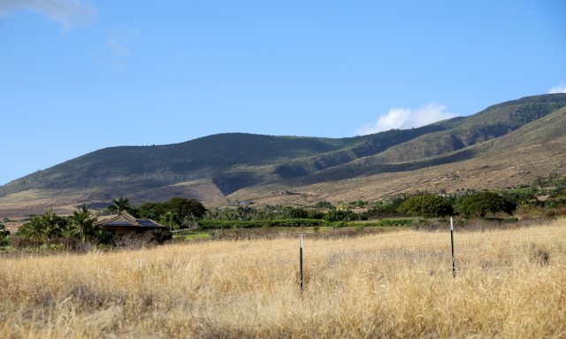 A photo of the a development above Launiupoko