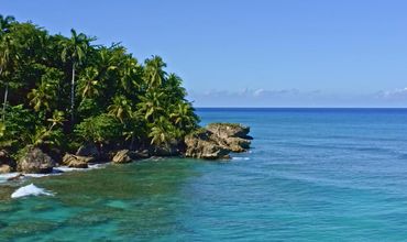 Ilha com árvores verdes em meio ao mar.