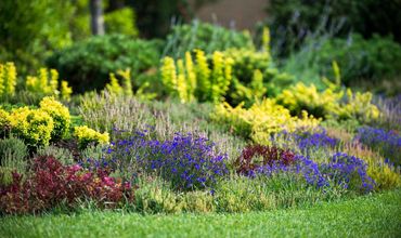 Jardim com flores coloridas.