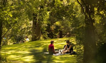 Pessoas fazendo piquenique em área verde de parque.