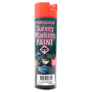 Survey  Paint Brilliant Orange 350G