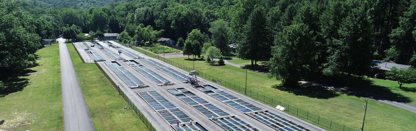 Setzer fish hatchery project aerial