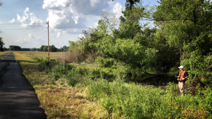 Pender county fiber optic