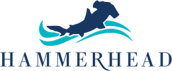 Hammerhead Logo