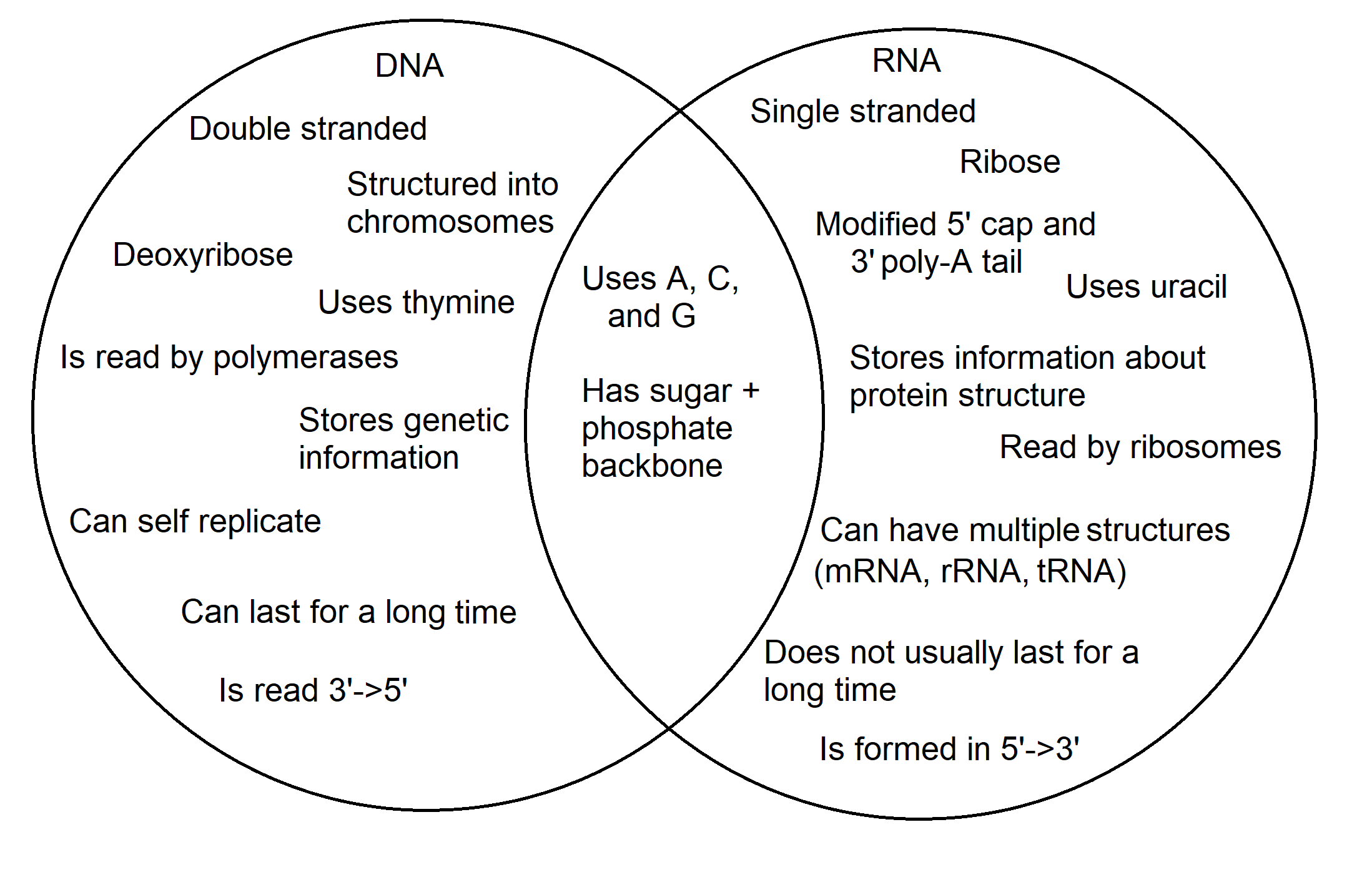 Venn Diagram Comparing Rna And Dna Dna Vs Rna Venn Diagram