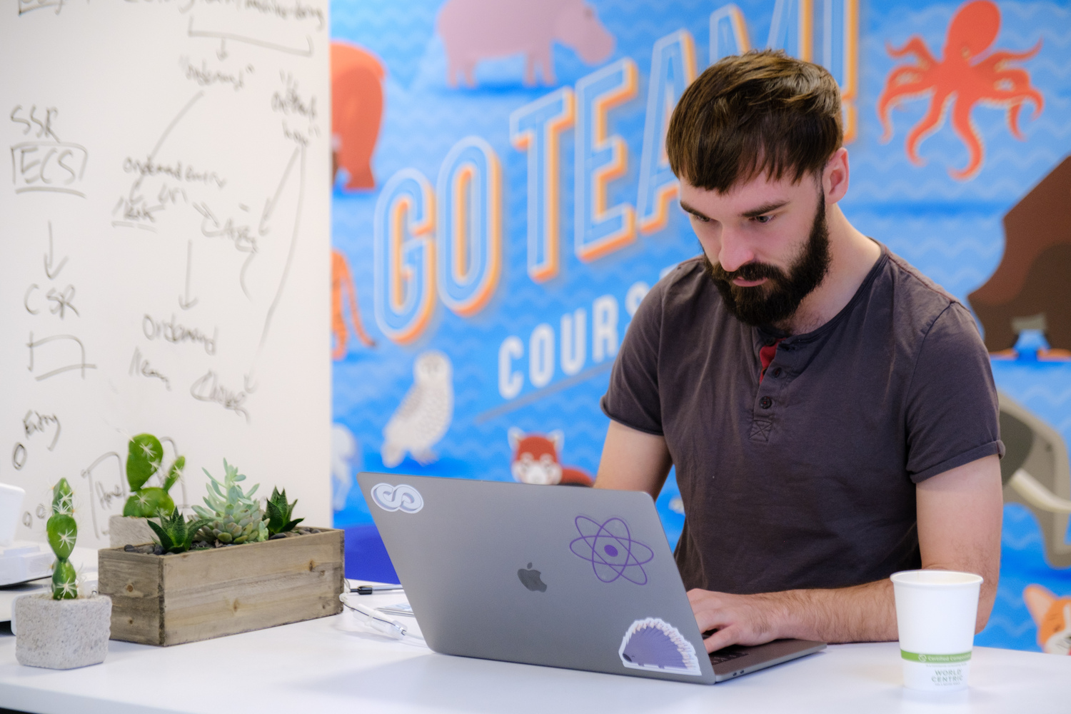 Computer, Laptop, Pc, Plant, Adult, Male, Man, Person, Cup, White Board