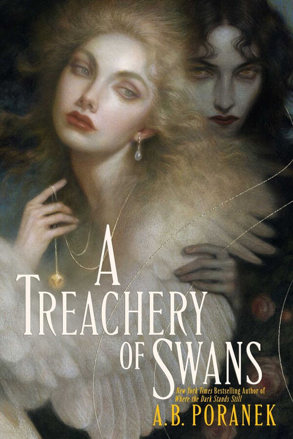 A Treachery of Swans cover image