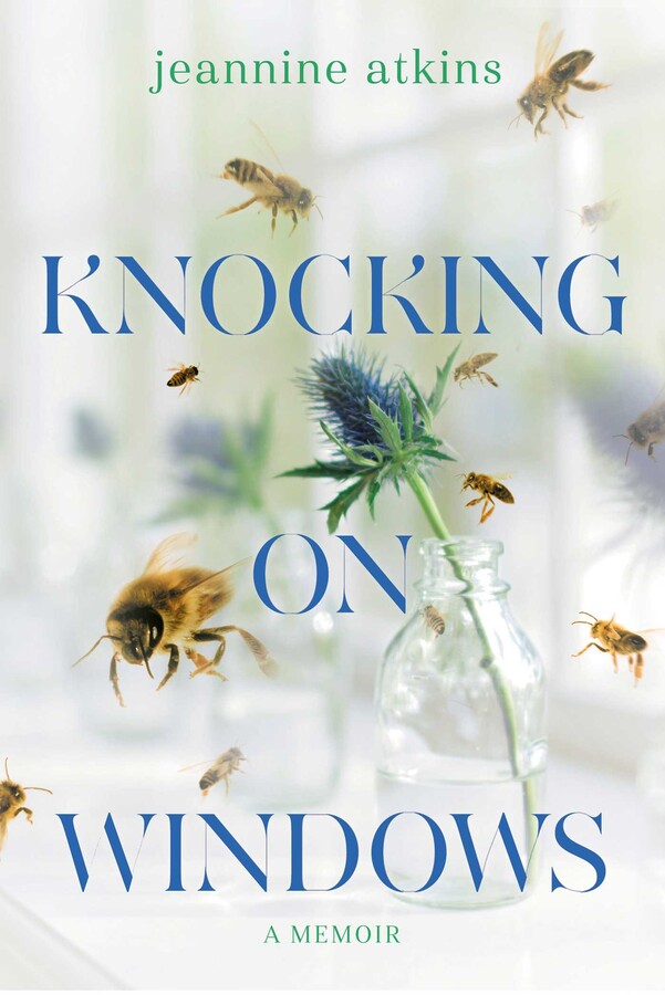 Knocking on Windows cover image