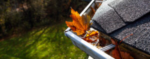 Gutter guard with leaves in it