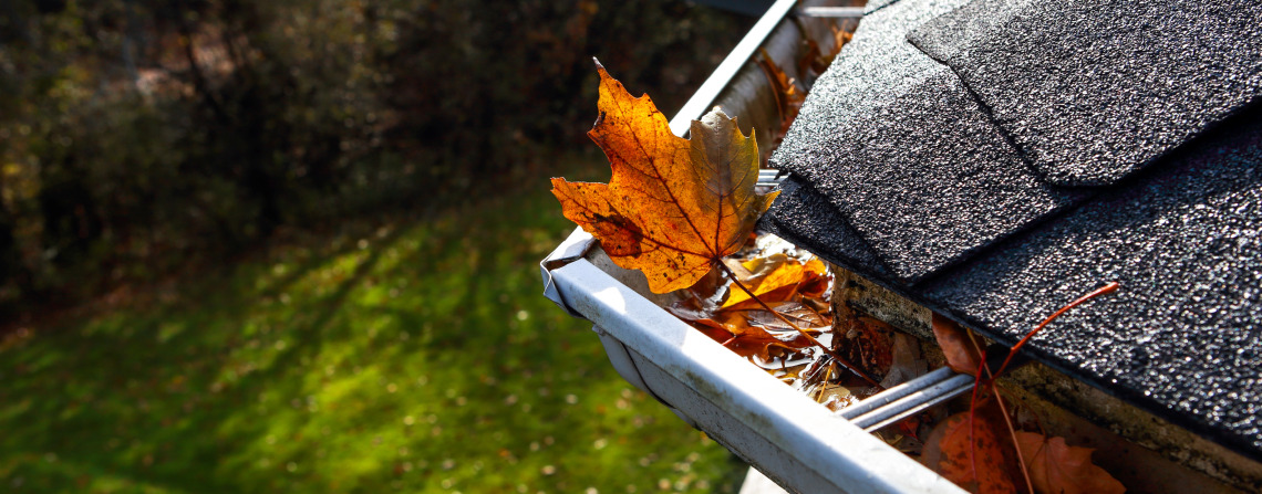 Gutter guard with leaves in it