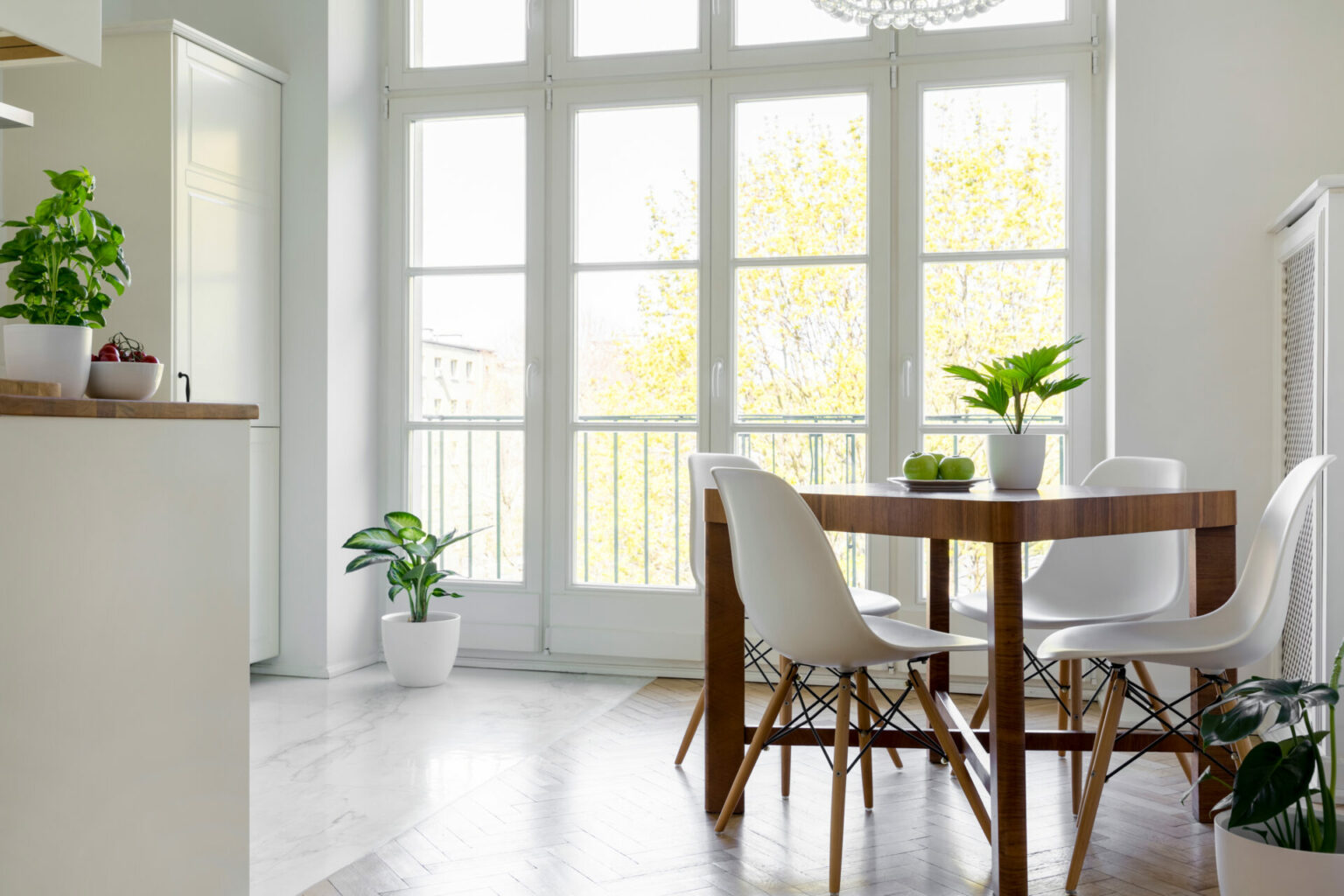 White chairs at wooden table with plant in bright dining room in