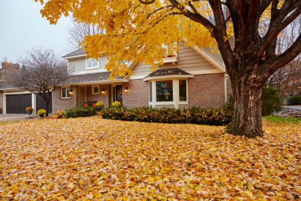 autumn leaves fall around a home