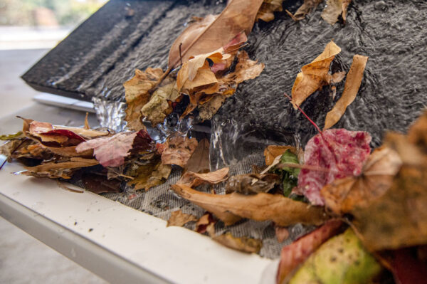 Leaf filter gutter guard with leaves in it