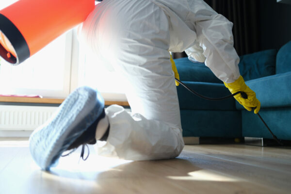 man spraying under couch for pests