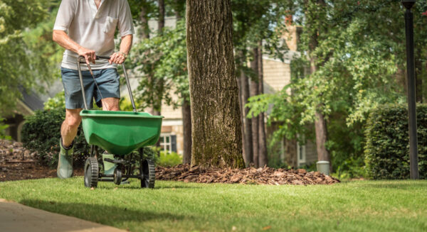 man fertilizing lawn with manual spreader