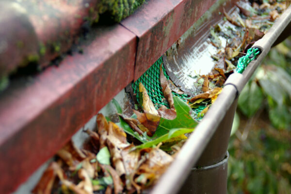 Plastic guard in gutter trough on a house roof