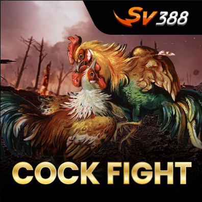 sv388 - judi sabung ayam online